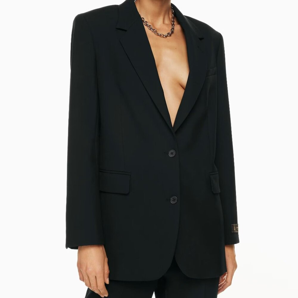 Aritzia Wilfred Agency Blazer (XS)
